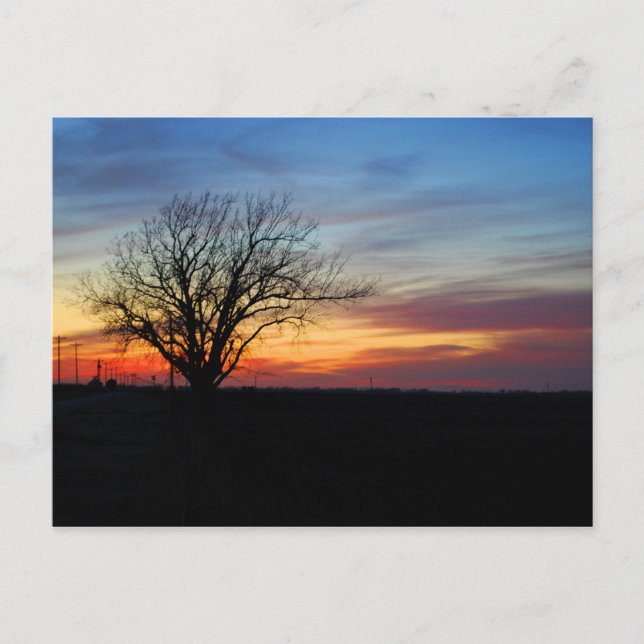 Cartão Postal Sunset (Frente)