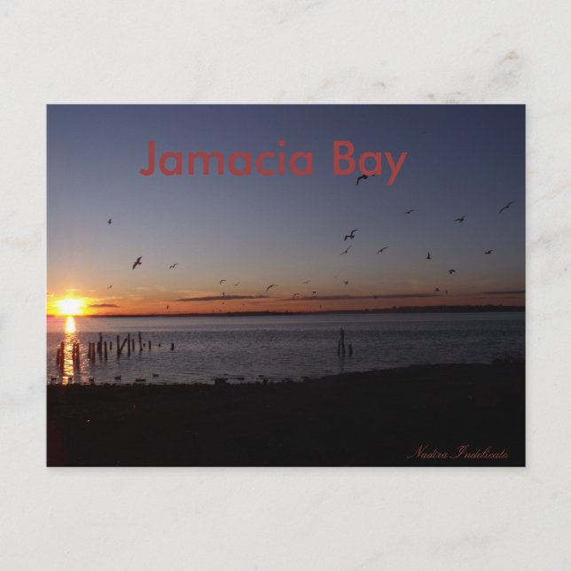 Cartão postal sunset (Frente)