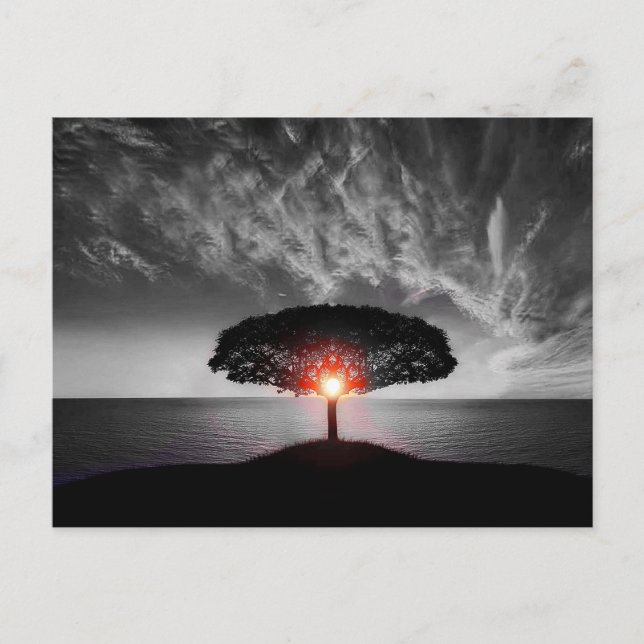 Cartão Postal Sunset (Frente)