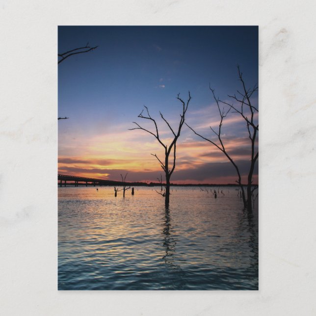 Cartão Postal Sunset (Frente)