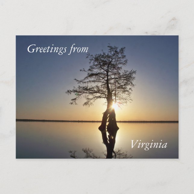 Cartão Postal Sunset Atrás de Árvore (Frente)