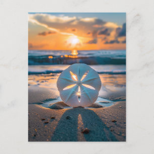 Cartão Postal Sunset Através do Dólar da Areia