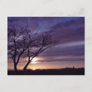 Cartão Postal Sunset Azul