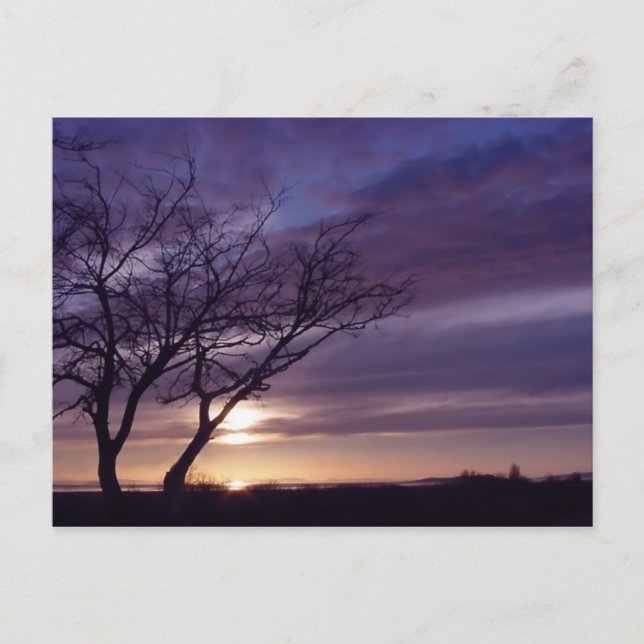 Cartão Postal Sunset Azul (Frente)