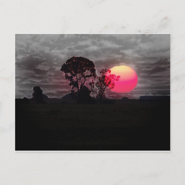 Cartão Postal Sunset com Árvore (Frente)