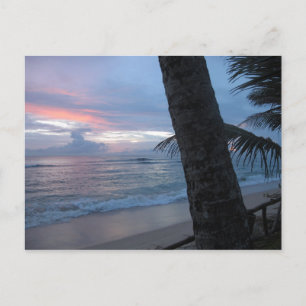 Cartão Postal Sunset com árvore no Sri Lanka