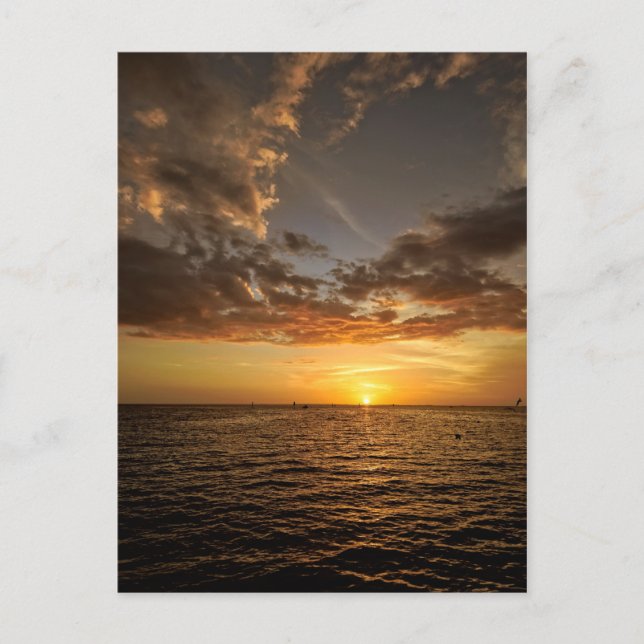 Cartão postal Sunset da Flórida (Frente)