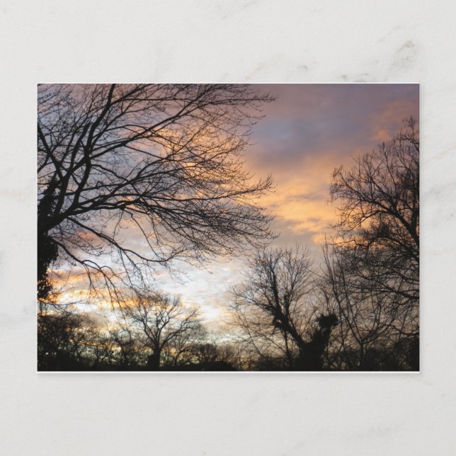 Cartão Postal Sunset de inverno (Frente)