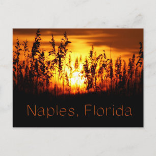 Cartão postal Sunset de Nápoles Flórida