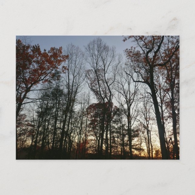 Cartão Postal Sunset de novembro (Frente)