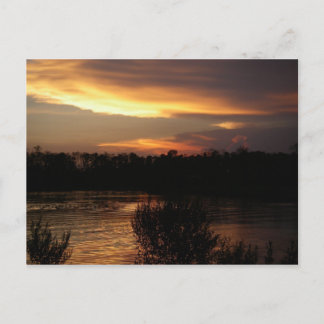 Cartão postal Sunset de ouro