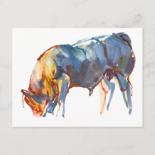 Cartão Postal Sunset de Verão de 2010 (Frente)