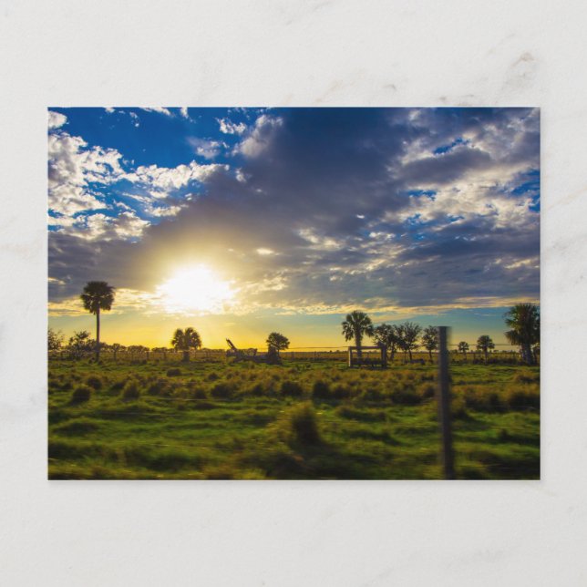Cartão Postal Sunset em Flórida Ranch (Frente)