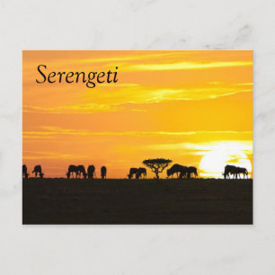 Cartão Postal Sunset em Serengeti