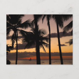 Cartão Postal Sunset Havaiano