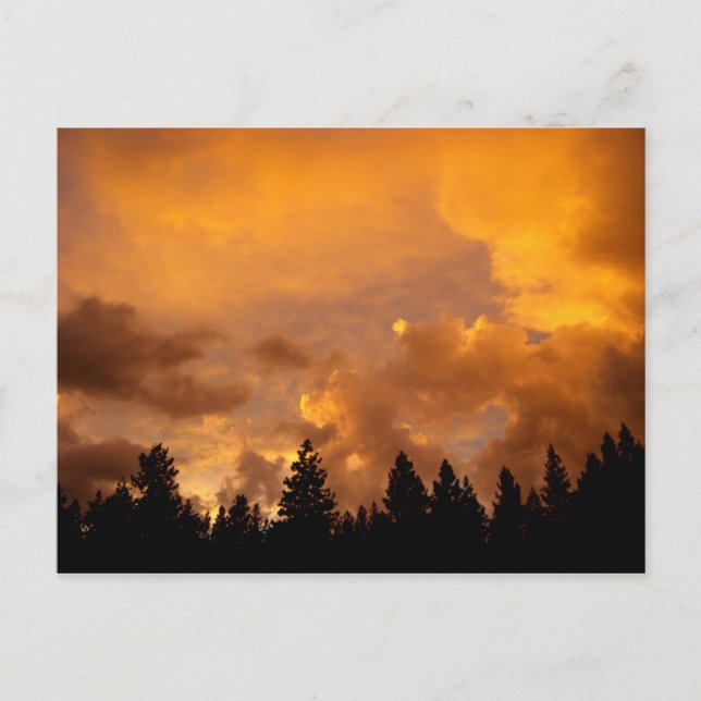 Cartão Postal Sunset in the Sierras - Cartão-postal (Frente)