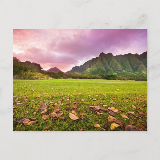 Cartão Postal Sunset Jurássico (Frente)