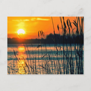 Cartão postal Sunset Lake