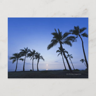 Cartão Postal Sunset na Baía de Kahaluu em Kona, Havaí