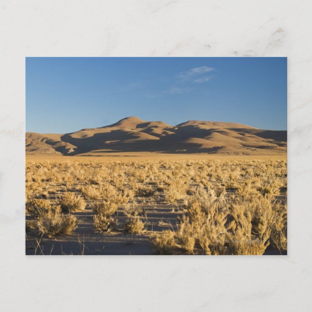 Cartão Postal Sunset no Altiplano da Argentina (Frente)