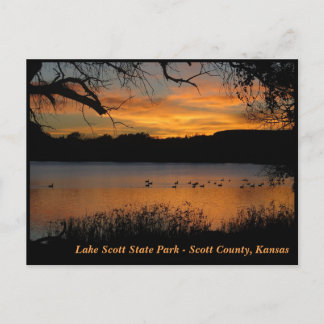 Cartão Postal Sunset no Lago Scott State Park - Geese no Lago
