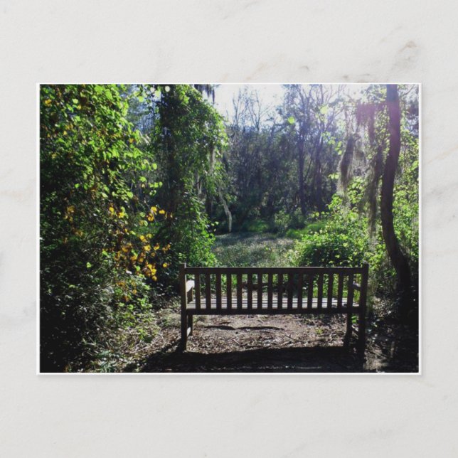 Cartão Postal Sunset no Phinizy Swamp Park Augusta, GA (Frente)