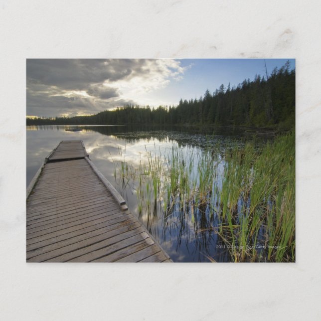 Cartão Postal Sunset Num Lago Pequeno (Frente)