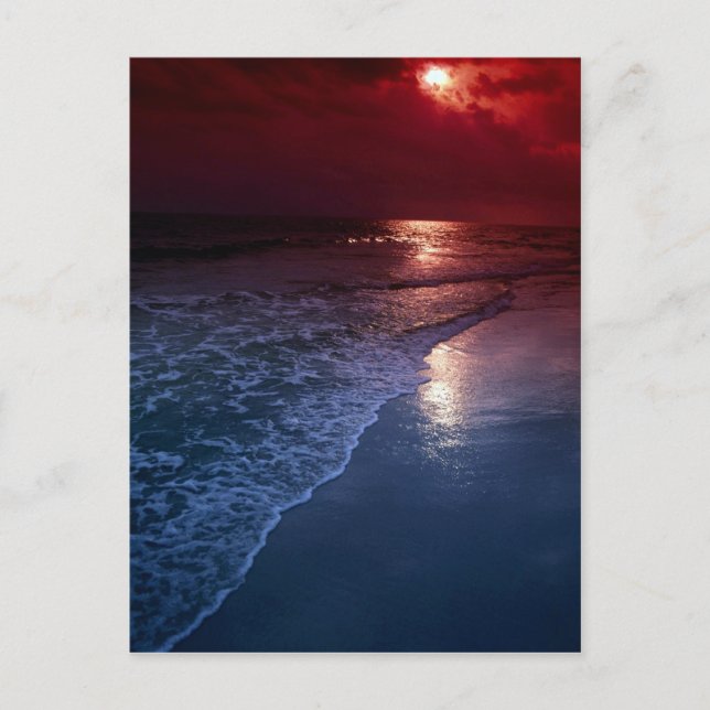 Cartão Postal Sunset, oceano, areia, costa, Flórida, EUA (Frente)