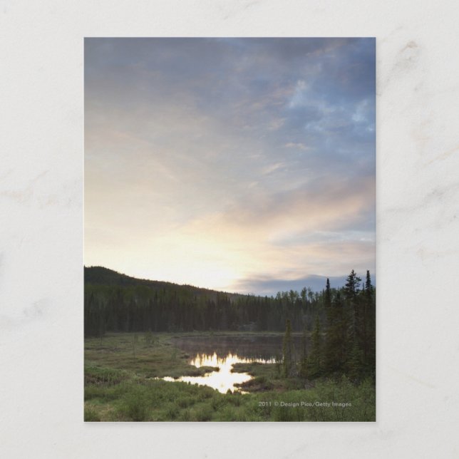 Cartão Postal Sunset Over A Misty Pond (Frente)
