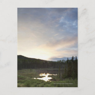 Cartão Postal Sunset Over A Misty Pond