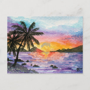 Cartão Postal Sunset Palm Beach