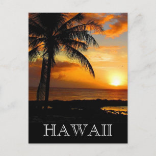 Cartão Postal sunset palm hawaii