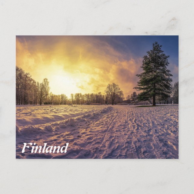 Cartão Postal Sunset sobre o parque de inverno de neve (Frente)