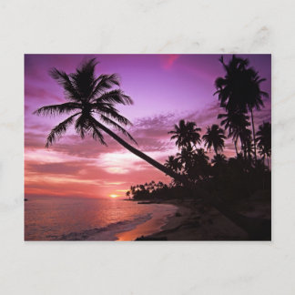 Cartão Postal Sunset tropical