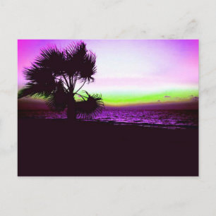 Cartão Postal Sunset tropical