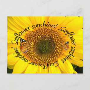 Cartão Postal SUNSHINE ~ POstcard
