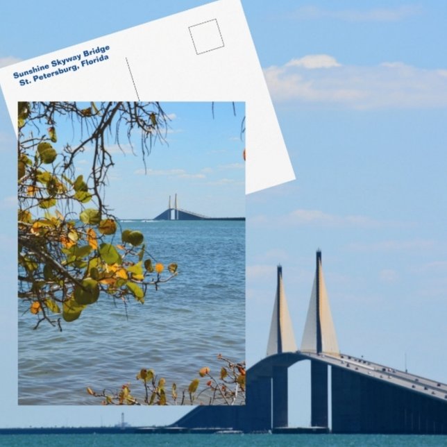 Cartão Postal Sunshine Skyway Bridge Rua Fotográfica Petersburgo (Criador carregado)