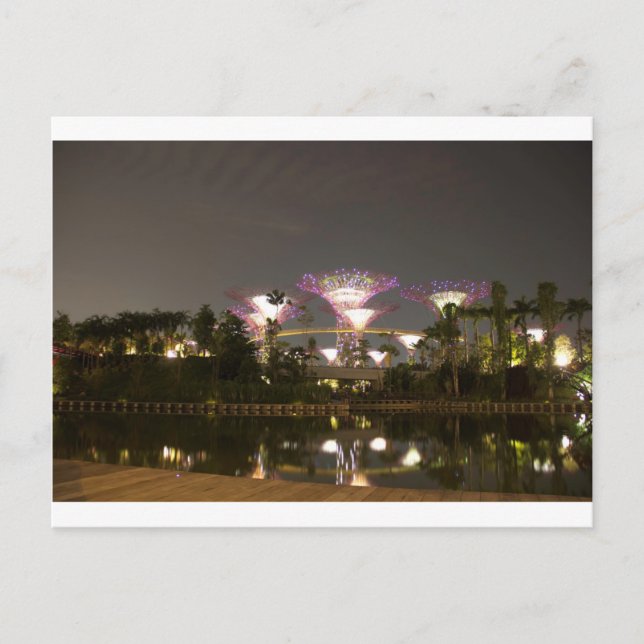 Cartão Postal Super-árvores iluminadas no Jardim pela Baía (Frente)