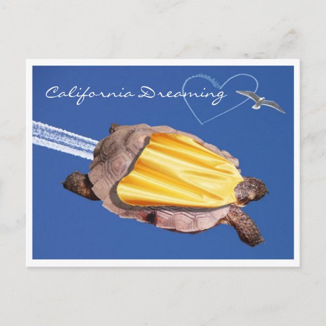 Cartão Postal Super! Gammie the California Desert Tortoise (Frente)