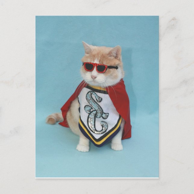 Cartão Postal Super-herói Bubba (Frente)