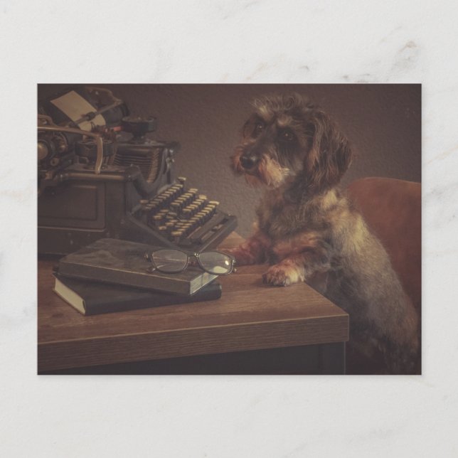 Cartão Postal Super leuke teckel kaart (Frente)