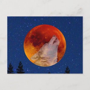 Cartão Postal Super Sangue Wolf Moon 2019