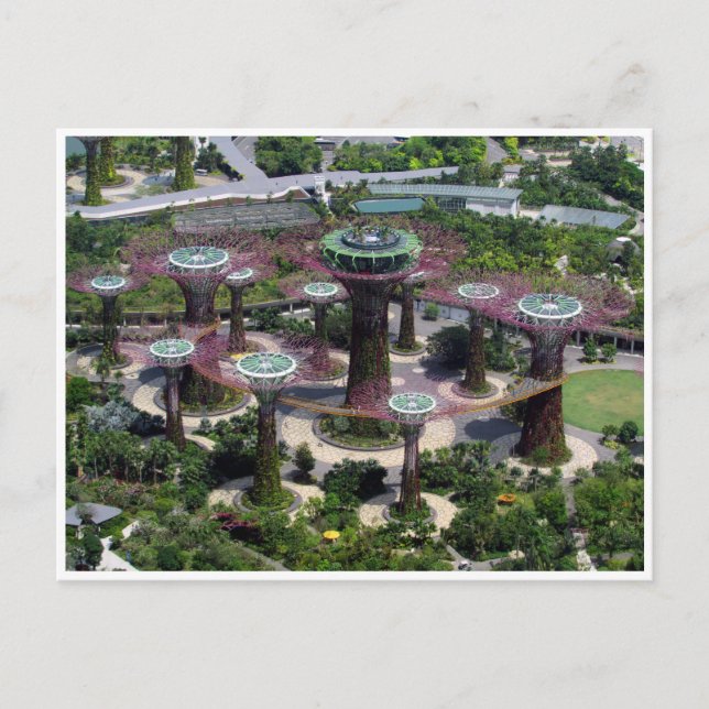 Cartão Postal superárvores singapura (Frente)