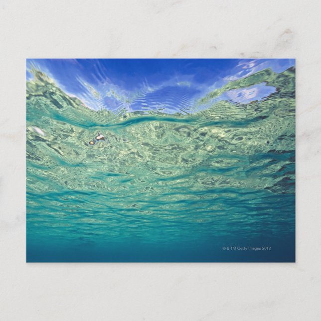 Cartão Postal Superfície do mar tópico claro visto de (Frente)
