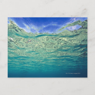 Cartão Postal Superfície do mar tópico claro visto de