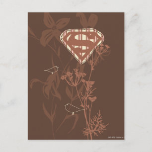 Cartão Postal Supergirl Brown Bird