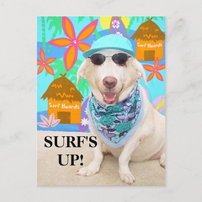 CARTÃO POSTAL SURF! (Frente)