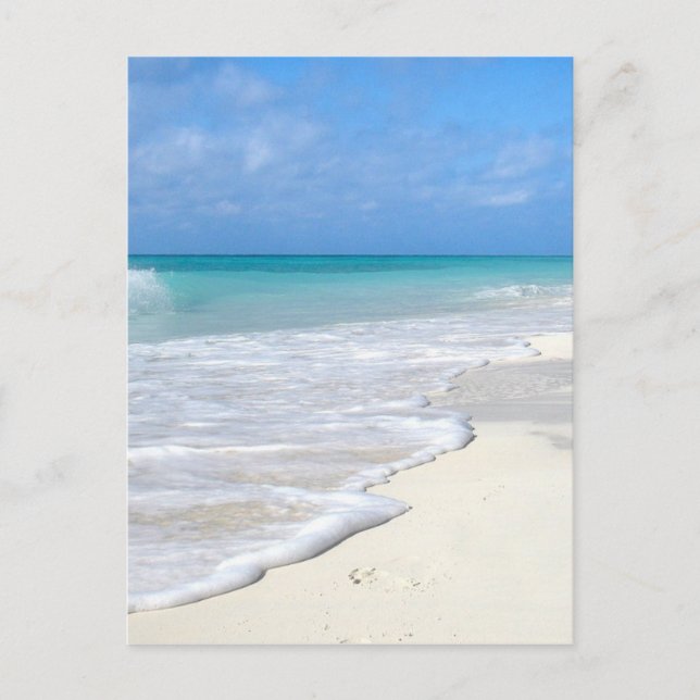 Cartão Postal Surf gentil (Frente)