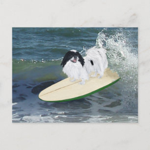 Cartão Postal Surfando Chin Japonês