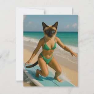 Cartão Postal Surfando temático para amantes de gatos siameses